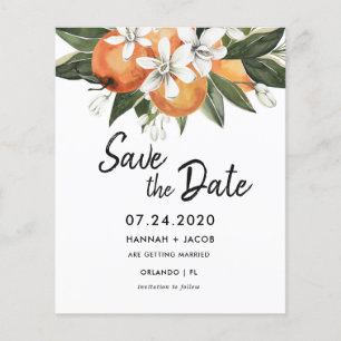 Budget Orange Citrus Greenery sparen Sie die Daten