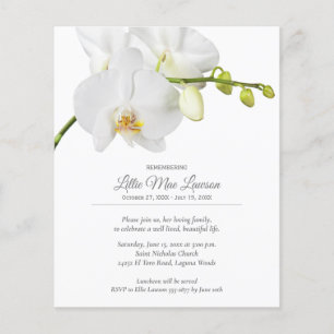 Budget-Orchideen-Blumen-Gedenkfeier Flyer