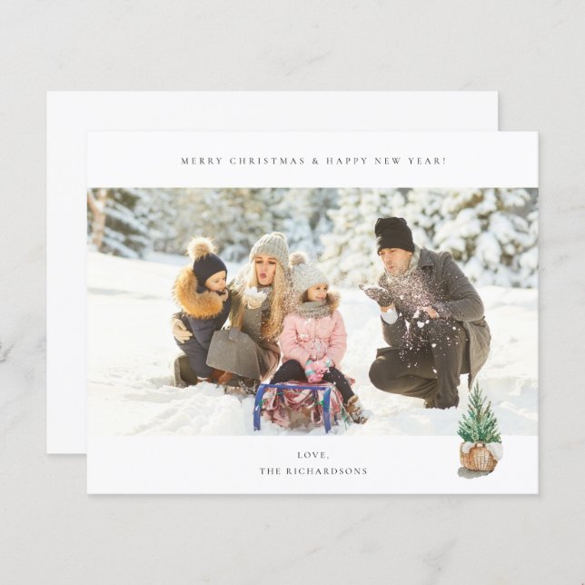 Budget Panorama Chic H Foto - Winterbaum (Vorne/Hinten)