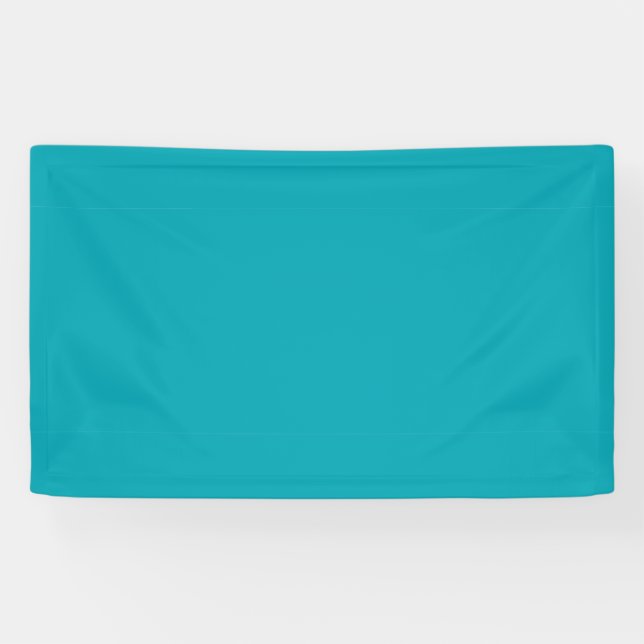 BUDGET Peacock Blue Aquamarin Monochrome Hochzeit Banner (Horizontal)