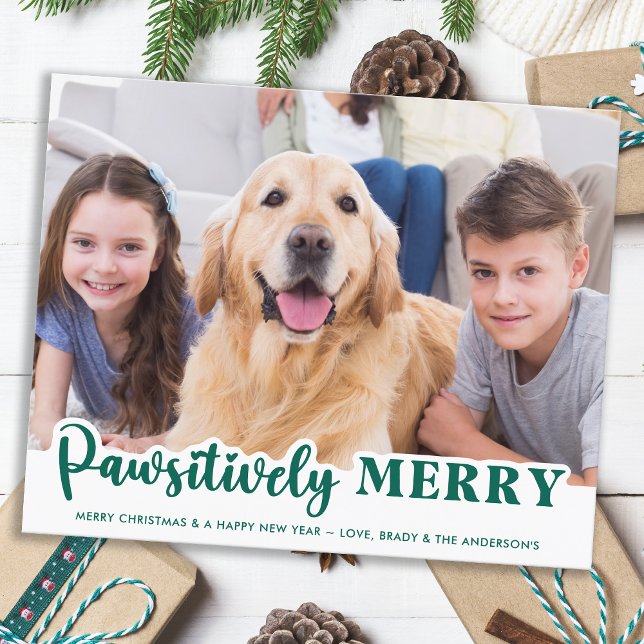 Budget Pet Foto Pawsitive Merry Hund Urlaub (Von Creator hochgeladen)