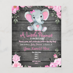 Budget Pink Elephant Rustic Floral Baby Dusche Flyer