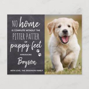 Budget Pitter Patter Welpenfütter Hund Welpe New P