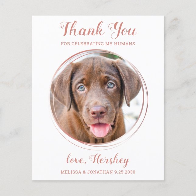 Budget Rose Gold Haustier Foto Hund Hochzeit Viele (Vorderseite)