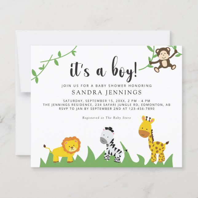 Budget Safari Baby Shower Jungle Animals Boy Niedl (Vorderseite)