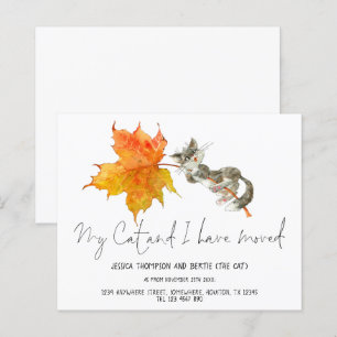 Budget Spaß My Cat Ich habe Skript neu Zuhause ver