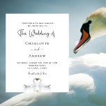 Budget swan couple white wedding invitation<br><div class="desc">A simple and elegant wedding invitation with love as the theme.  Two beautiful swans bending their heads toghether and forming a heart shape. White background. Personalize and add your names and wedding details.</div>