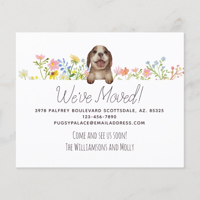Budget Wir sind umgezogen! Beagle Welpenfloral (Vorderseite)