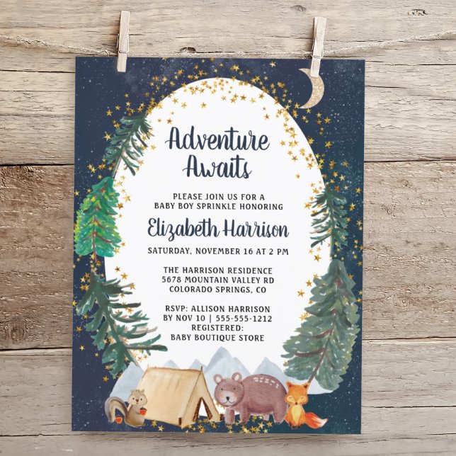 Budget Woodland Animals Night Sky Baby Sprinkle (Von Creator hochgeladen)