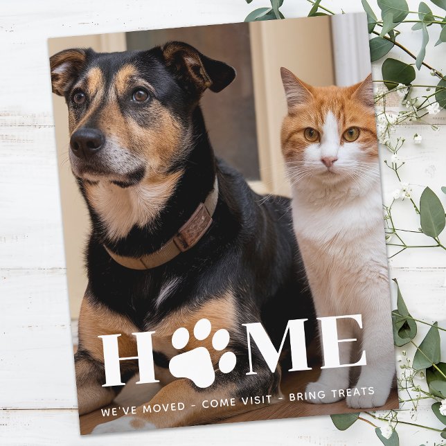 Budget Zuhause Custom Pet Foto Weve Moved Dog Movi (Von Creator hochgeladen)