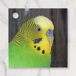 Budgie 003 geschenkanhänger