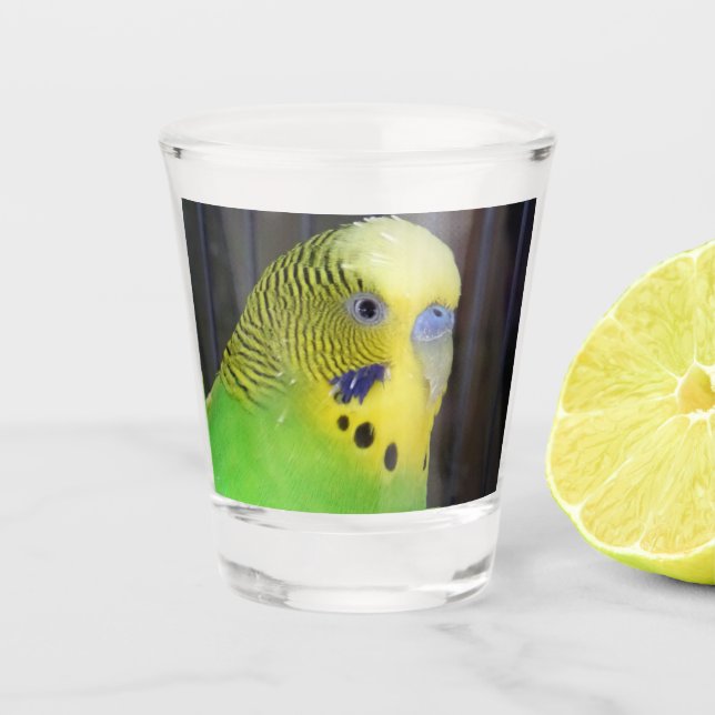 Budgie 003 schnapsglas (Vorderseite)