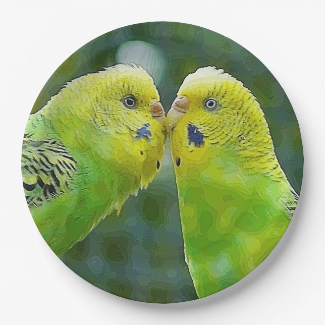 Budgie_2015_0604 Pappteller (Vorderseite)