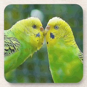 Budgie_2015_0604 Untersetzer