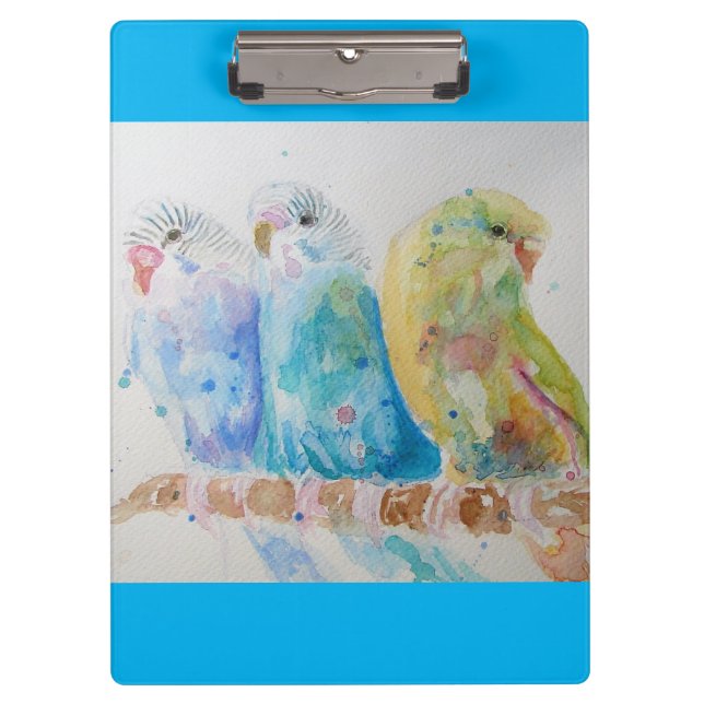 Budgie Aqua Aquamarin Klemmbrett (Vorderseite)