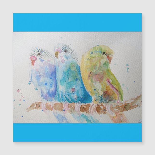 Budgie Aqua Aquamarin Magnetkarte (Vorderseite)
