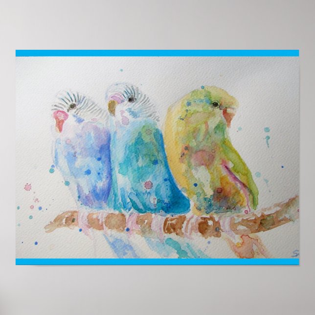 Budgie Aqua Aquamarin Poster (Vorne)