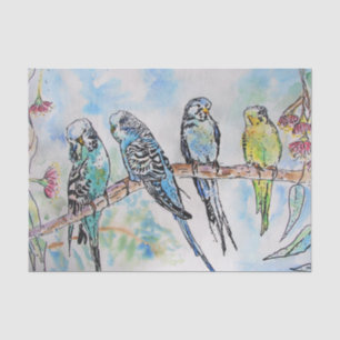 Budgie Aqua Aquamarin Seidenpapier