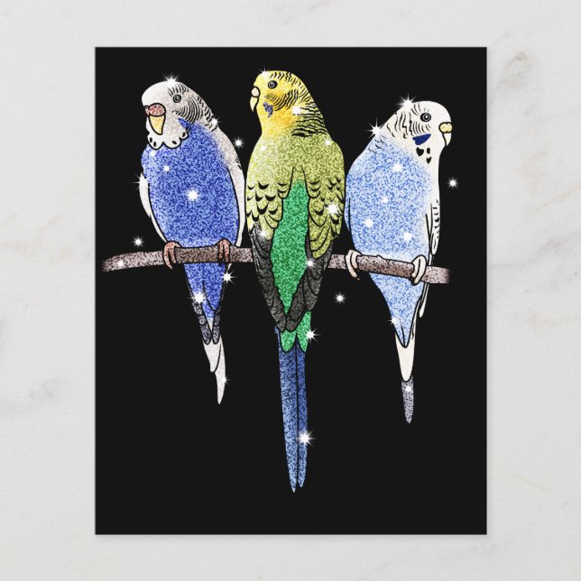 Budgie Budgerigar Glitzer Flyer (Vorne)