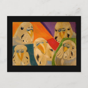 Budgie Budgerigar Postkarte