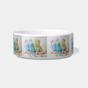 Budgie budgerigars Vögel Hübsch Bird Drink Bowl Napf