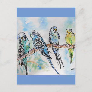 Budgie Budgies Carte Oiseau de peinture aquarelle