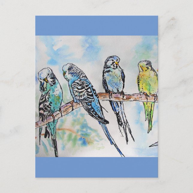 Budgie Budgies Carte Oiseau de peinture aquarelle (Devant)