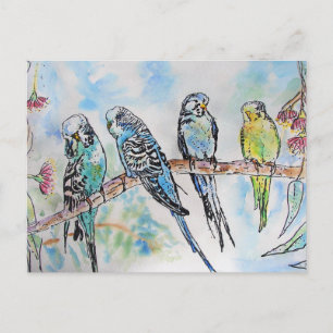Budgie Budgies Carte Oiseau de peinture aquarelle