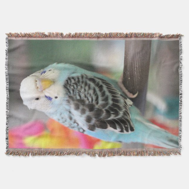 Budgie Decke (Vorderseite)