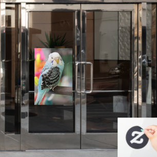 Budgie Fensteraufkleber