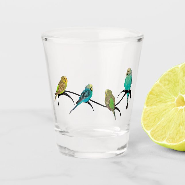 Budgie Frenzy Gift Glass Schnapsglas (Vorderseite)