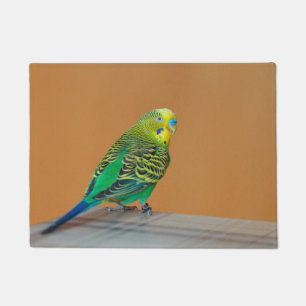 Budgie Fußmatte