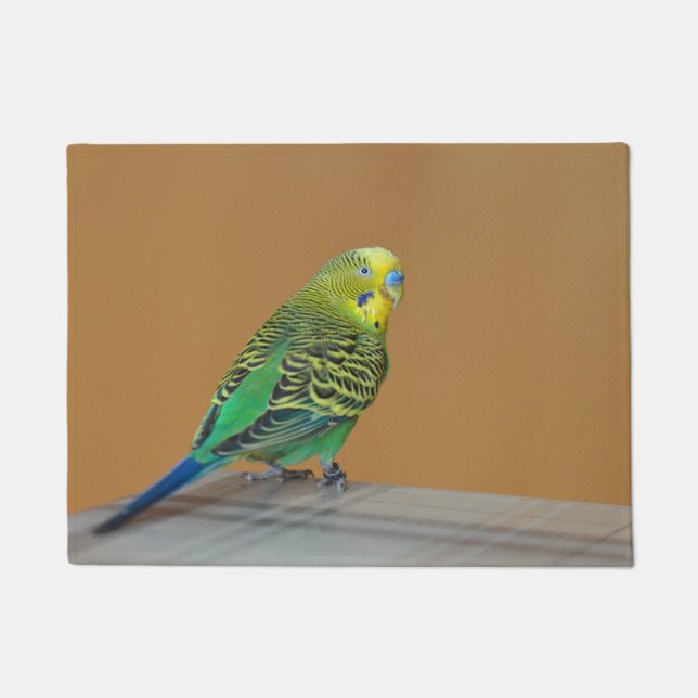 Budgie Fußmatte (Vorderseite)