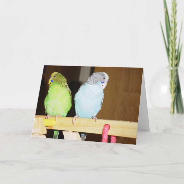 Budgie große Anmerkungs-Karte Karte (Vorderseite)