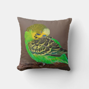 Budgie-Kissen Kissen