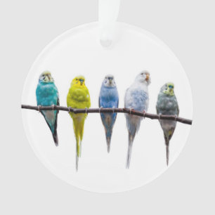Budgie Ornament