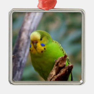 Budgie Ornament Aus Metall
