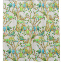 Budgie Parakeet Bird Duschvorhang