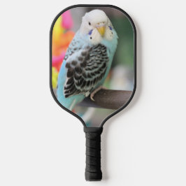 Budgie Pickleball Schläger