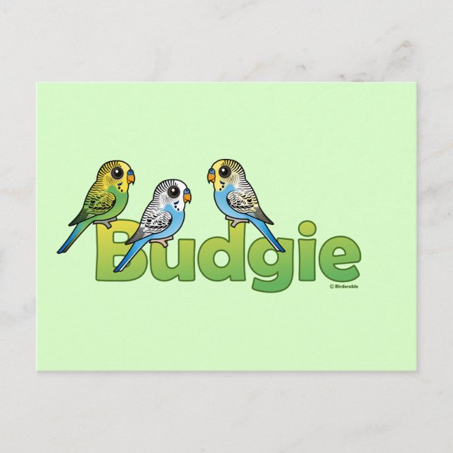 BUDGIE POSTKARTE (Vorderseite)