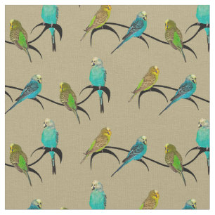 Budgie Raserei-Gewebe (Gold) Stoff