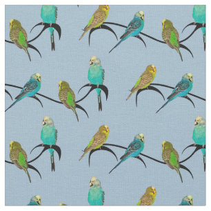Budgie Raserei-Gewebe (hellblau) Stoff