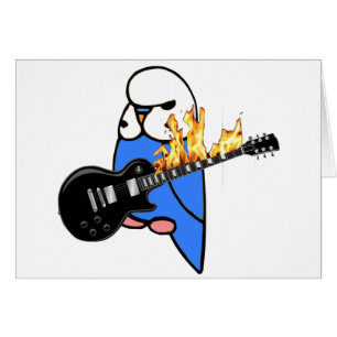 Budgie rockt