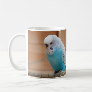 Budgie Tasse