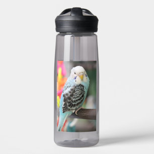 Budgie Trinkflasche