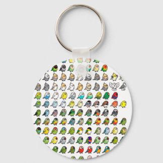Budgie und Parakeet Collage Schlüsselanhänger