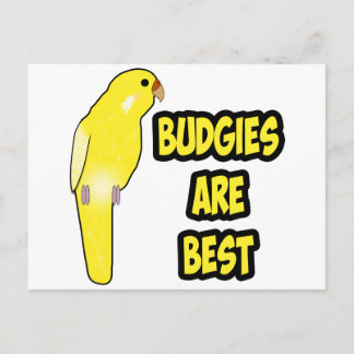 Budgien sind die besten postkarte