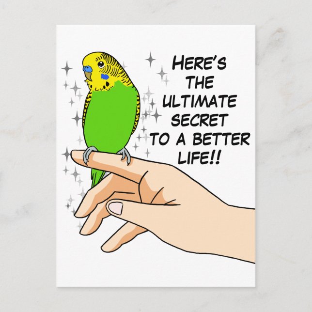 Budgien verbessern das Leben Postkarte (Vorderseite)