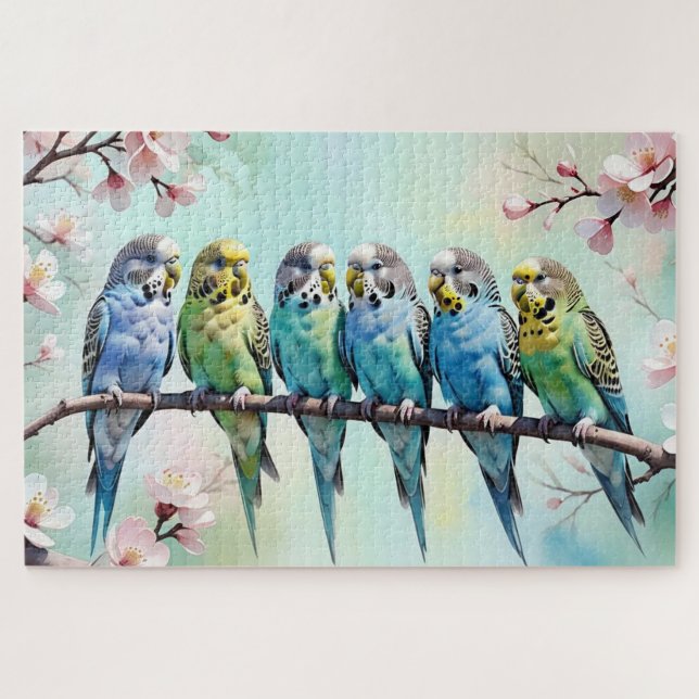 Budgies (Horizontal)