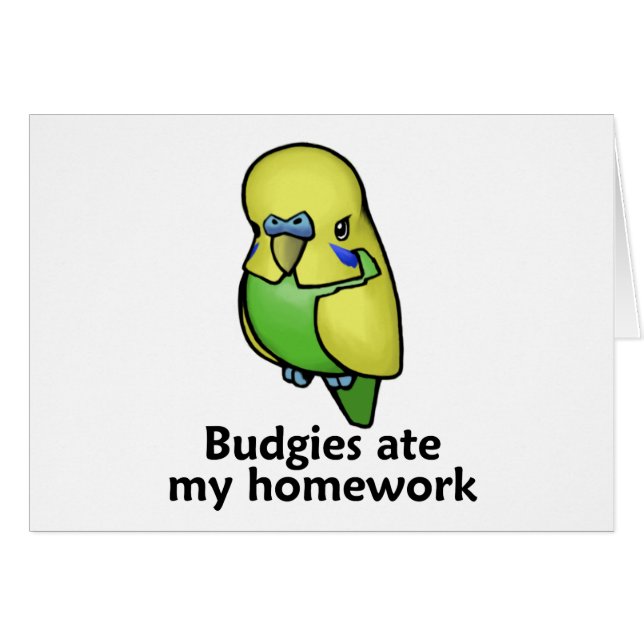 Budgies aß meine Hausaufgaben (Vorderseite (Horizontal))